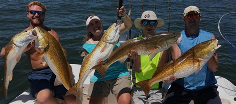 Gulfport ms fishing report. Things To Know About Gulfport ms fishing report. 
